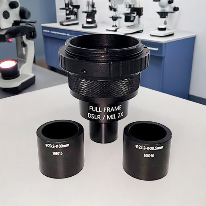 Panasonic Lumix S Mirrorless (L Mount)